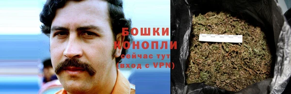мдпв Богородицк