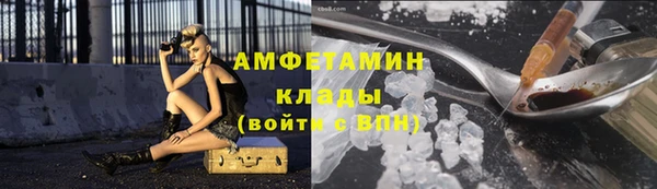 мдпв Богородицк
