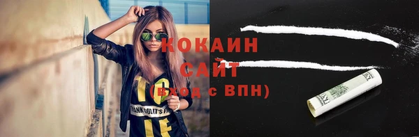 мдпв Богородицк