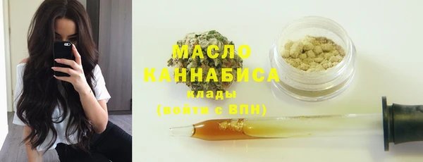 мдпв Богородицк