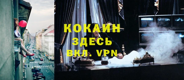 крисы Богородск
