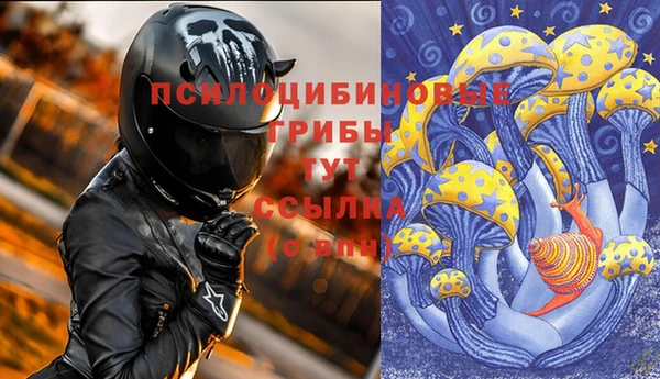мдпв Богородицк